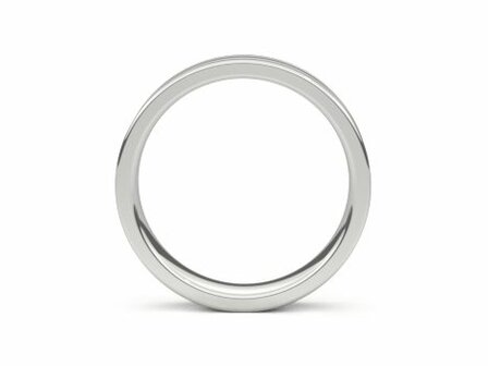 Amici Ring - Edelstaal | Amici Ringen