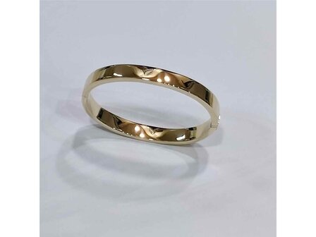 RIGIDE ARMBAND - 18kt Geelgoud | COLLECTION VANSCHOENWINKEL