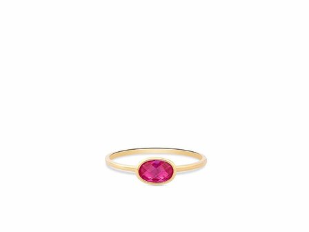 RING ZIRCONIA - 18kt Geelgoud | Swing 18k Jewels