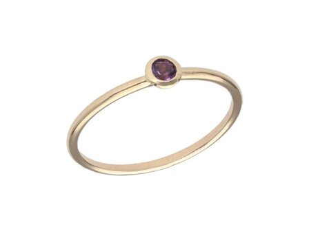 Birthstone Ring - 18kt Geelgoud | Swing 18k Jewels