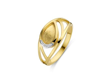 Ring briljant - 18kt Geelgoud | COLLECTION VANSCHOENWINKEL