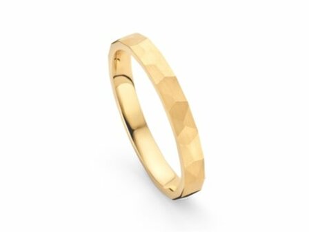 Aurodesign Trouwring - 18kt Geelgoud | Auro Design Ring