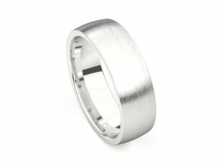 Amici Ring - Zilver | Amici Ringen