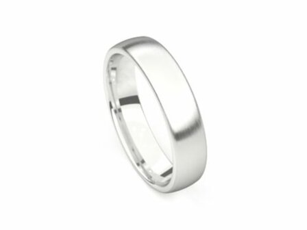 Amici Ring - Zilver | Amici Ringen