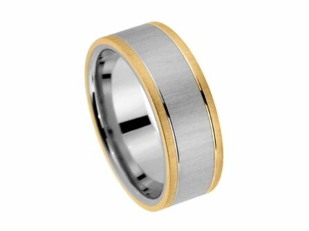 Amici Ring - Edelstaal | Amici Ringen