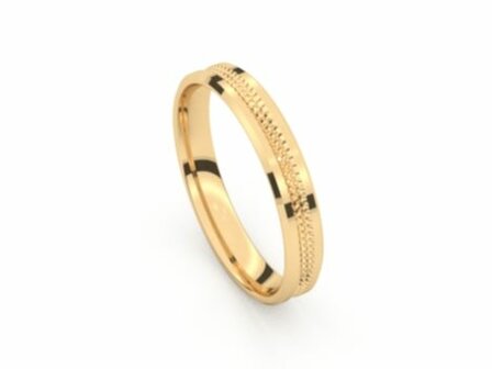 Amici Ring - 9kt Geelgoud | Amici Ringen