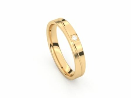 Amici Ring - 9kt Geelgoud | Amici Ringen
