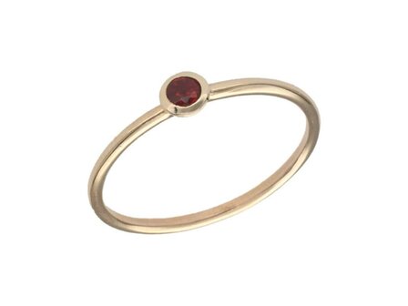 Birthstone Ring - 18kt Geelgoud | Swing 18k Jewels