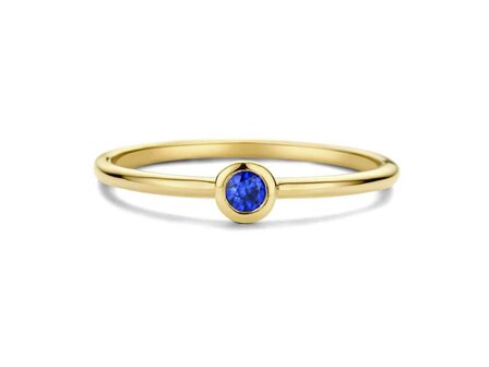 Birthstone Ring - 18kt Geelgoud | Swing 18k Jewels