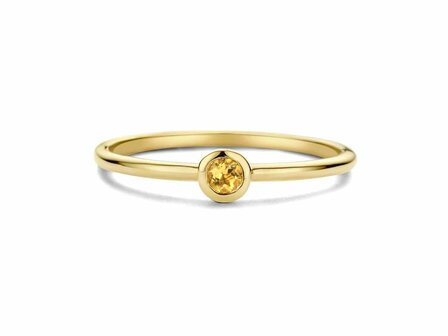 Birthstone Ring - 18kt Geelgoud | Swing 18k Jewels