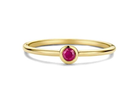 Birthstone Ring - 18kt Geelgoud | Swing 18k Jewels