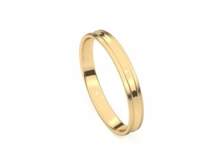 Amici Ring - 9kt Geelgoud | Amici Ringen