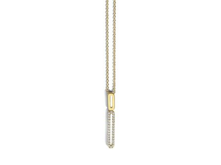 Hanger met Ketting - 18kt Geelgoud | COLLECTION VANSCHOENWINKEL