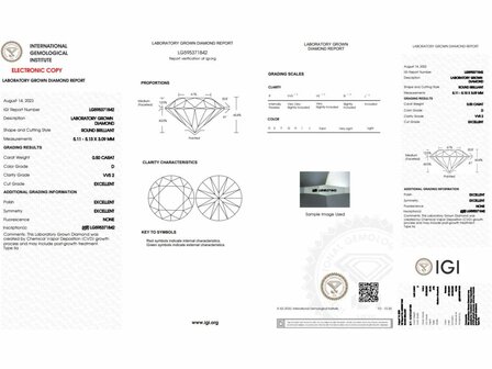Lab Grown Diamond Solitair - 18kt Witgoud | Lab Grown Collection VS
