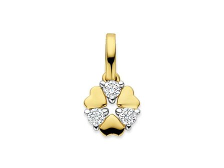 Hanger Briljant - 18kt Geelgoud | COLLECTION VANSCHOENWINKEL