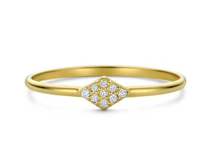 Ring briljant - 18kt Geelgoud | COLLECTION VANSCHOENWINKEL