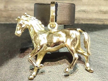 Hanger Figuurtje - 18kt Geelgoud | COLLECTION VANSCHOENWINKEL