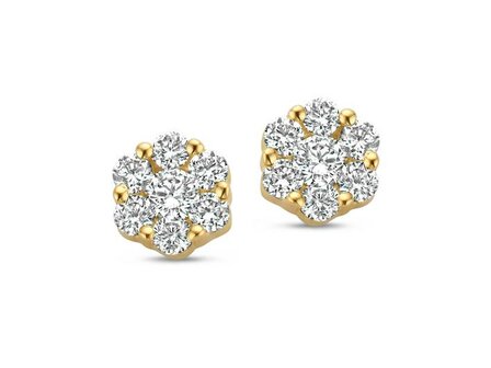 Oorbellen briljant - 18kt Geelgoud | COLLECTION VANSCHOENWINKEL
