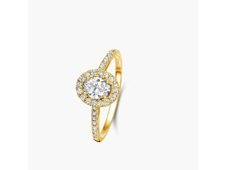 Lab Grown Entourage - 18kt Geelgoud | Lab Grown Collection VS