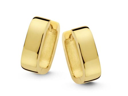 Oorbellen creolen - Naiomy (AG) Zilver