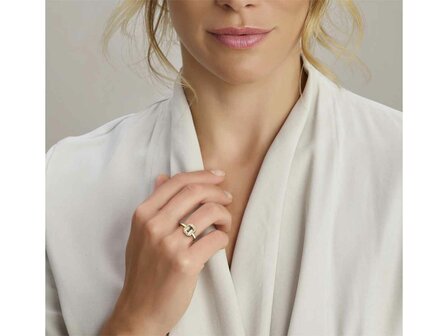 Ring briljant - 18kt Geelgoud | COLLECTION VANSCHOENWINKEL