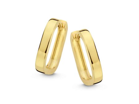 Oorbellen creolen - Naiomy (AG) Zilver