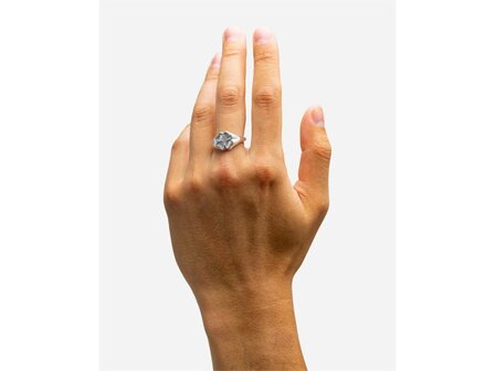 RING - Zilver (AG) | BUDDHA TO BUDDHA
