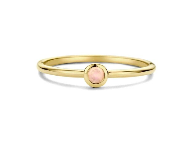 Birthstone Ring - 18kt Geelgoud | Swing 18k Jewels