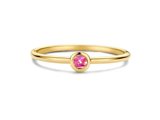 Birthstone Ring - 18kt Geelgoud | Swing 18k Jewels