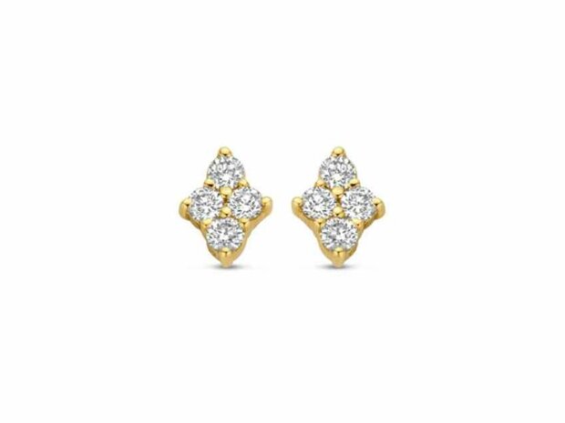 Oorbellen - 18kt Geelgoud | COLLECTION VANSCHOENWINKEL