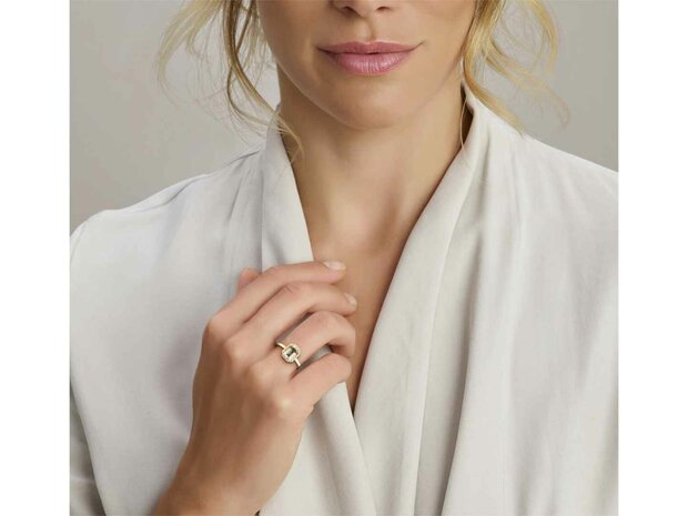 Ring briljant - 18kt Geelgoud | COLLECTION VANSCHOENWINKEL