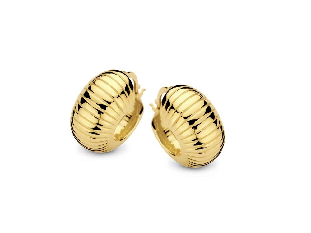 Oorbellen creolen - Naiomy (AG) Zilver