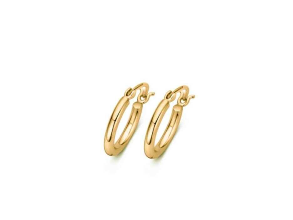 Oorbellen creolen - Naiomy (AG) Moments