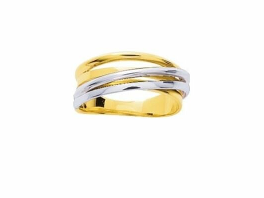 Ring - 18kt Bicolor | COLLECTION VANSCHOENWINKEL