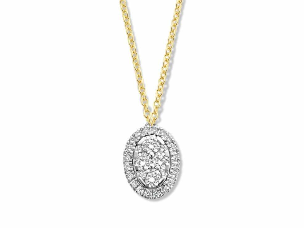 Hanger Briljant - 18kt Geelgoud | COLLECTION VANSCHOENWINKEL