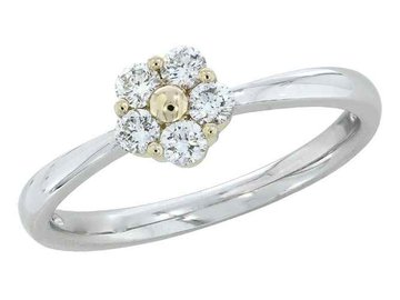 Ring entourage briljant - 18kt Witgoud | J & A Collection 1970