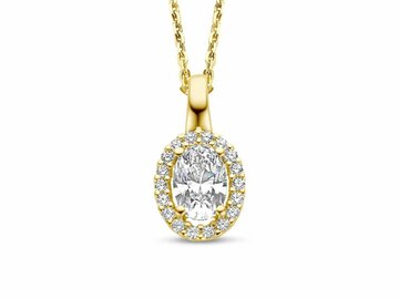 Hanger Zirconia - 18kt Geelgoud | COLLECTION VANSCHOENWINKEL