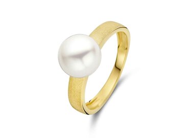 Ring parel - 18kt Geelgoud | COLLECTION VANSCHOENWINKEL
