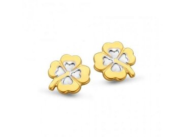 Oorbellen - 18kt Geelgoud | COLLECTION VANSCHOENWINKEL