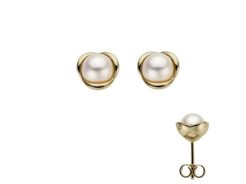 Oorbellen parels - 18kt Geelgoud | COLLECTION VANSCHOENWINKEL
