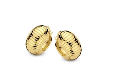 Oorbellen creolen - Naiomy (AG) Zilver