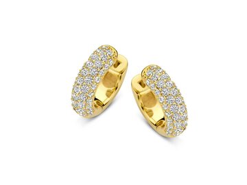 Oorbellen creolen - Naiomy (AG) Zilver