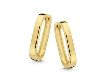 Oorbellen creolen - Naiomy (AG) Zilver