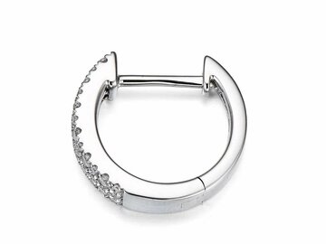 Oorbellen briljant - 18kt Witgoud | COLLECTION VANSCHOENWINKEL