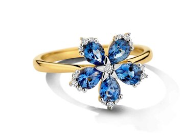 Ring kl.steen-Briljant - 18kt Geelgoud | DULCI NEA JEWELS