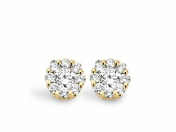 Oorbel solitaire briljant - 18kt Witgoud | COLLECTION VANSCHOENWINKEL