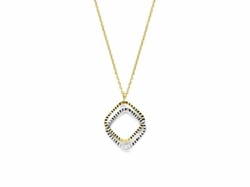 Hanger met Ketting - 18kt Bicolor | COLLECTION VANSCHOENWINKEL